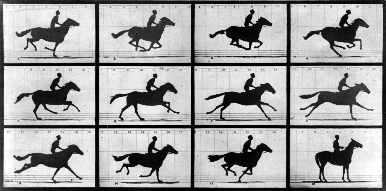 Figur 12: Et tidsseriefotografi av en hest i bevegelse, tatt av Muybridge (1878).