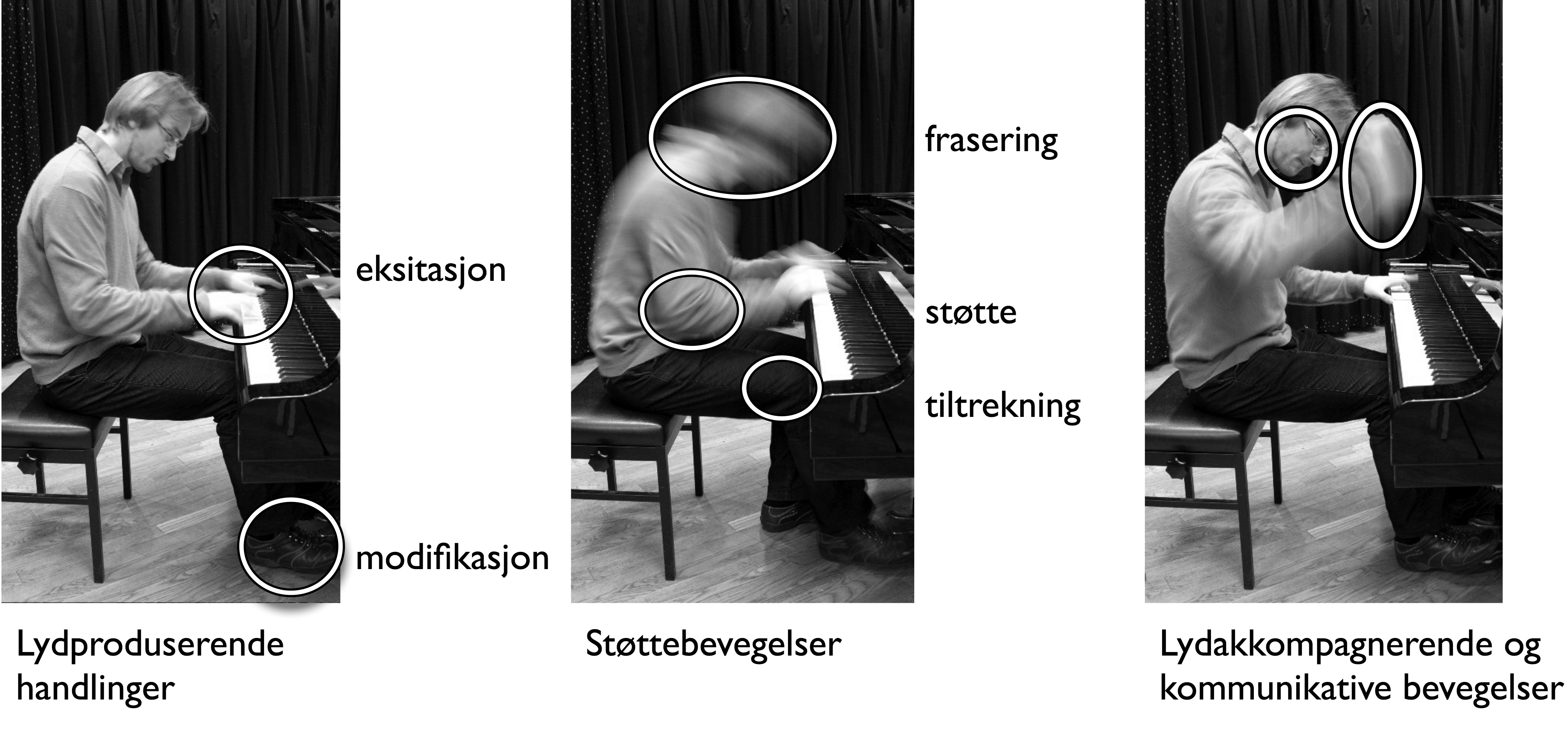 Figur 39: Eksempler på hvor man kan finne forskjellige typer musikkrelaterte bevegelser i pianospilling.
