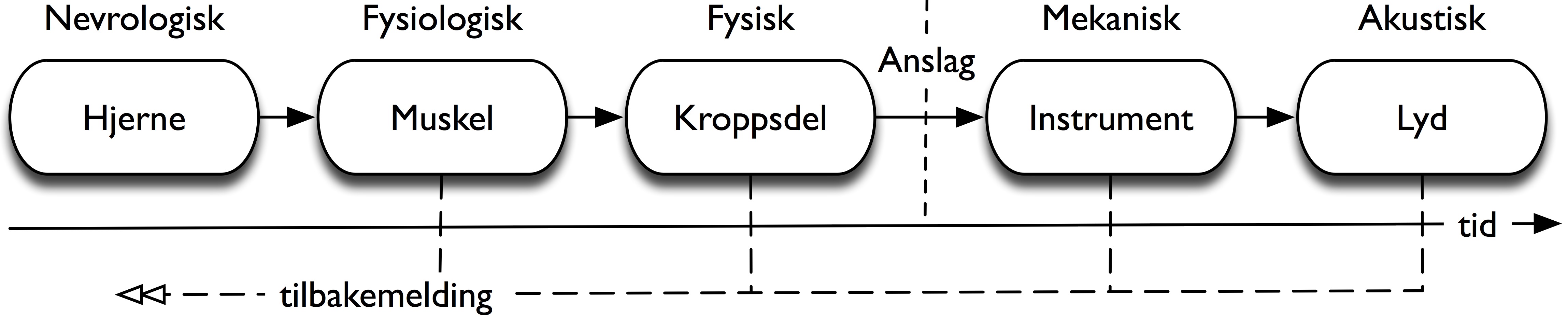 Figur 53: Handling–lyd-forløp fra nevral aktivitet til lyd, og med tilbakemelding i alle ledd.