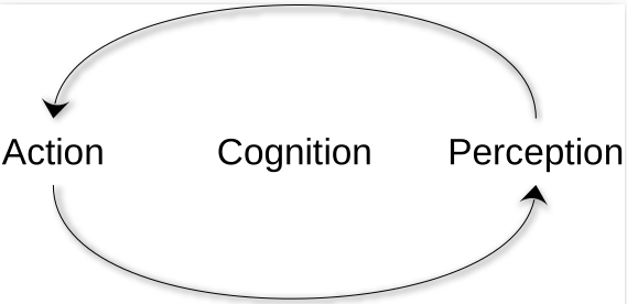 Action–perception loop
