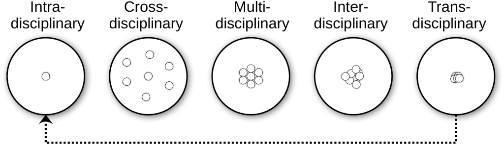 Different disciplinarities