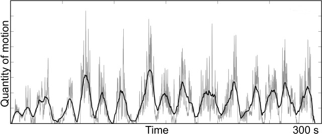 A plot of the quantity of motion for a 5-minute long dance sequence. The grey line is a plot of the tracked data, and the black line is a filtered version of the same data set.